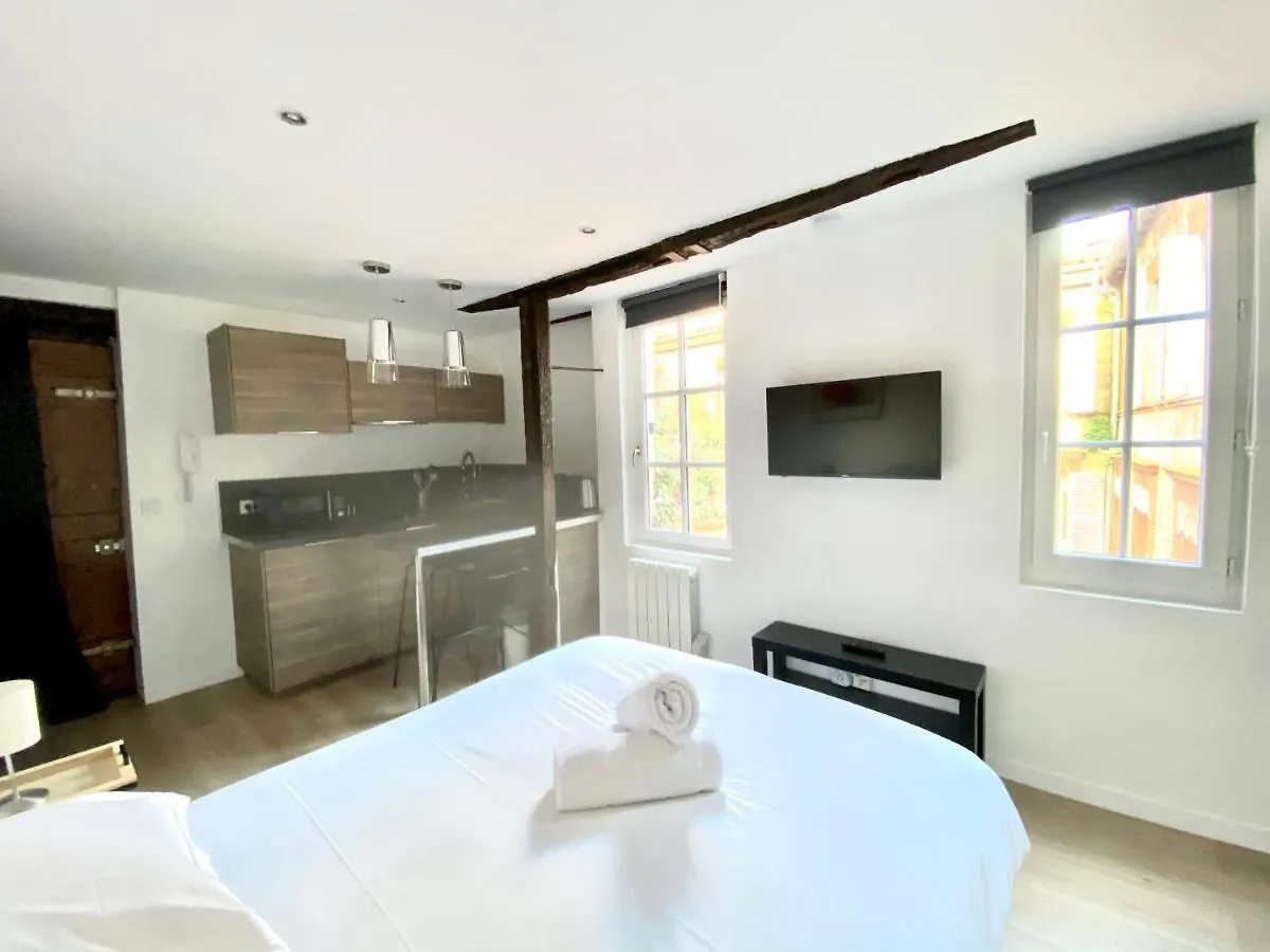 Le Studio - Quartier Des Antiquaires Apartment Toulouse France