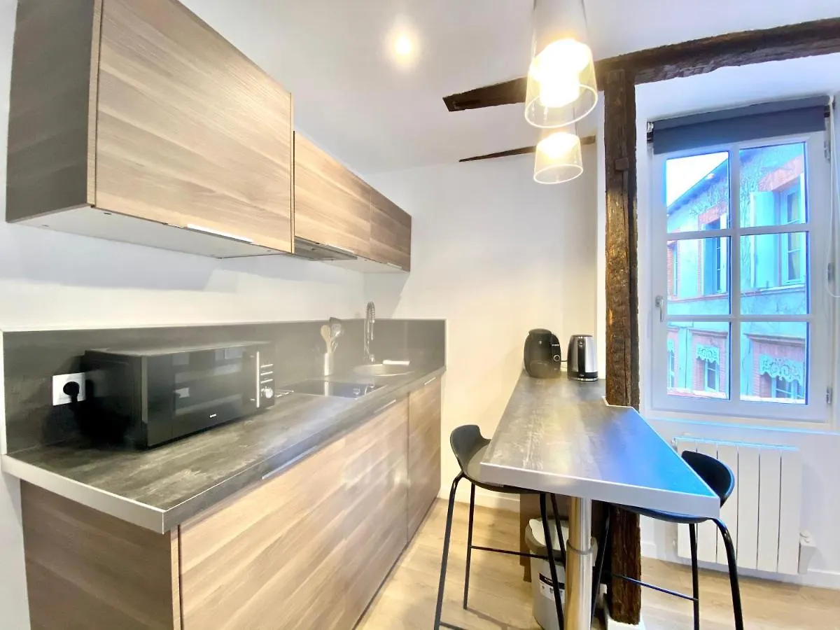 Le Studio - Quartier Des Antiquaires Apartment Toulouse