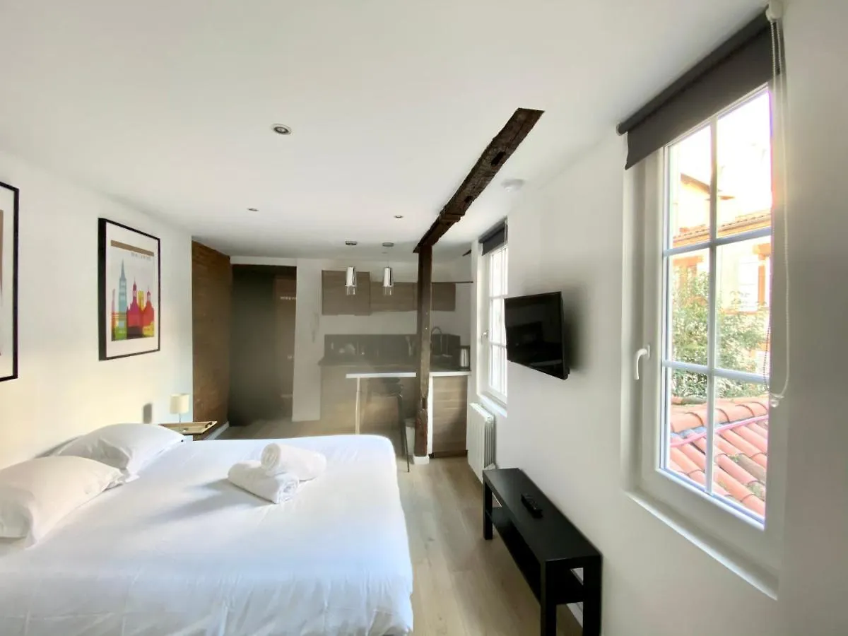 Le Studio - Quartier Des Antiquaires Apartment Toulouse France