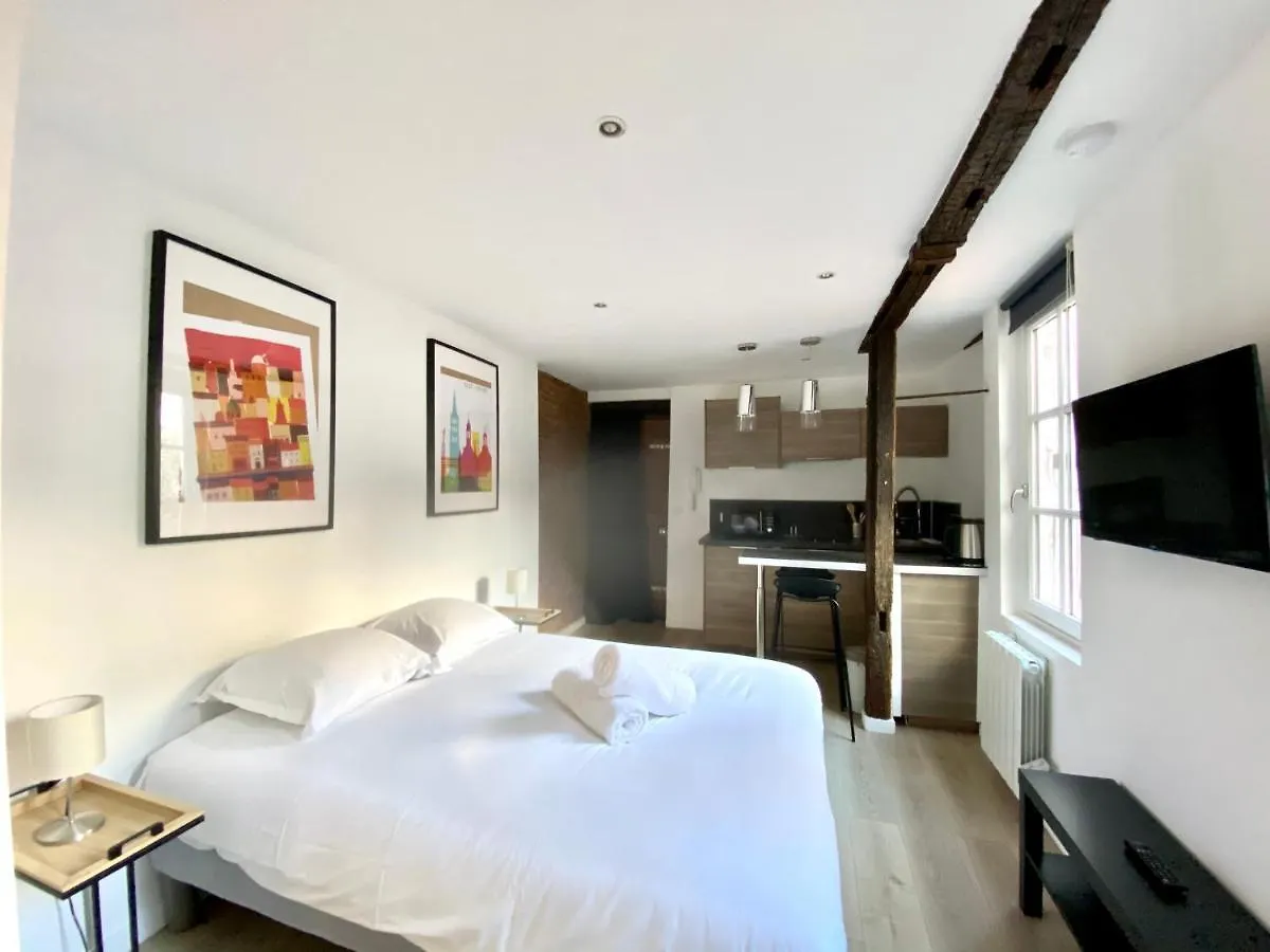Le Studio - Quartier Des Antiquaires Apartment Toulouse France