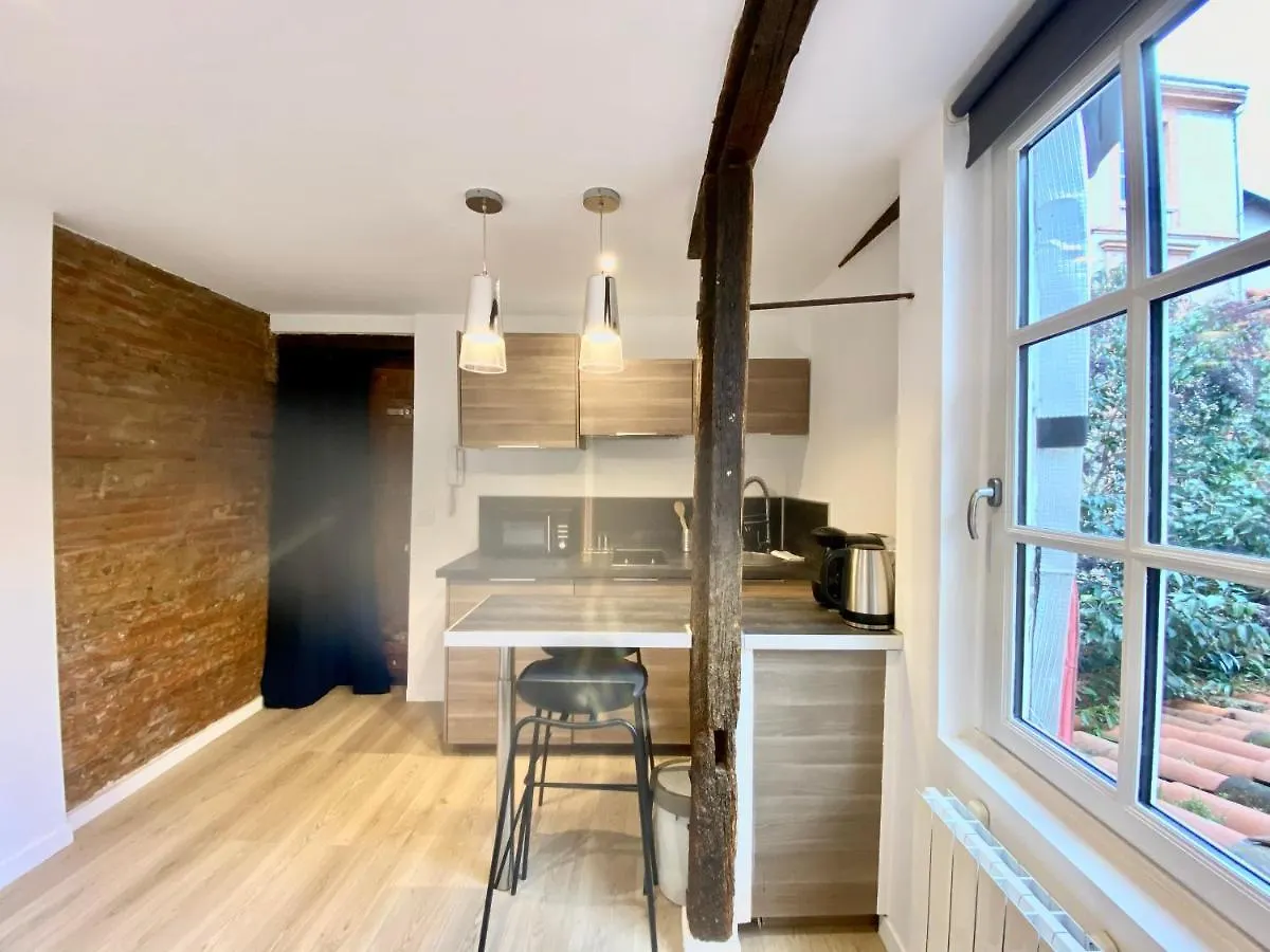 דירות טולוז Le Studio - Quartier Des Antiquaires